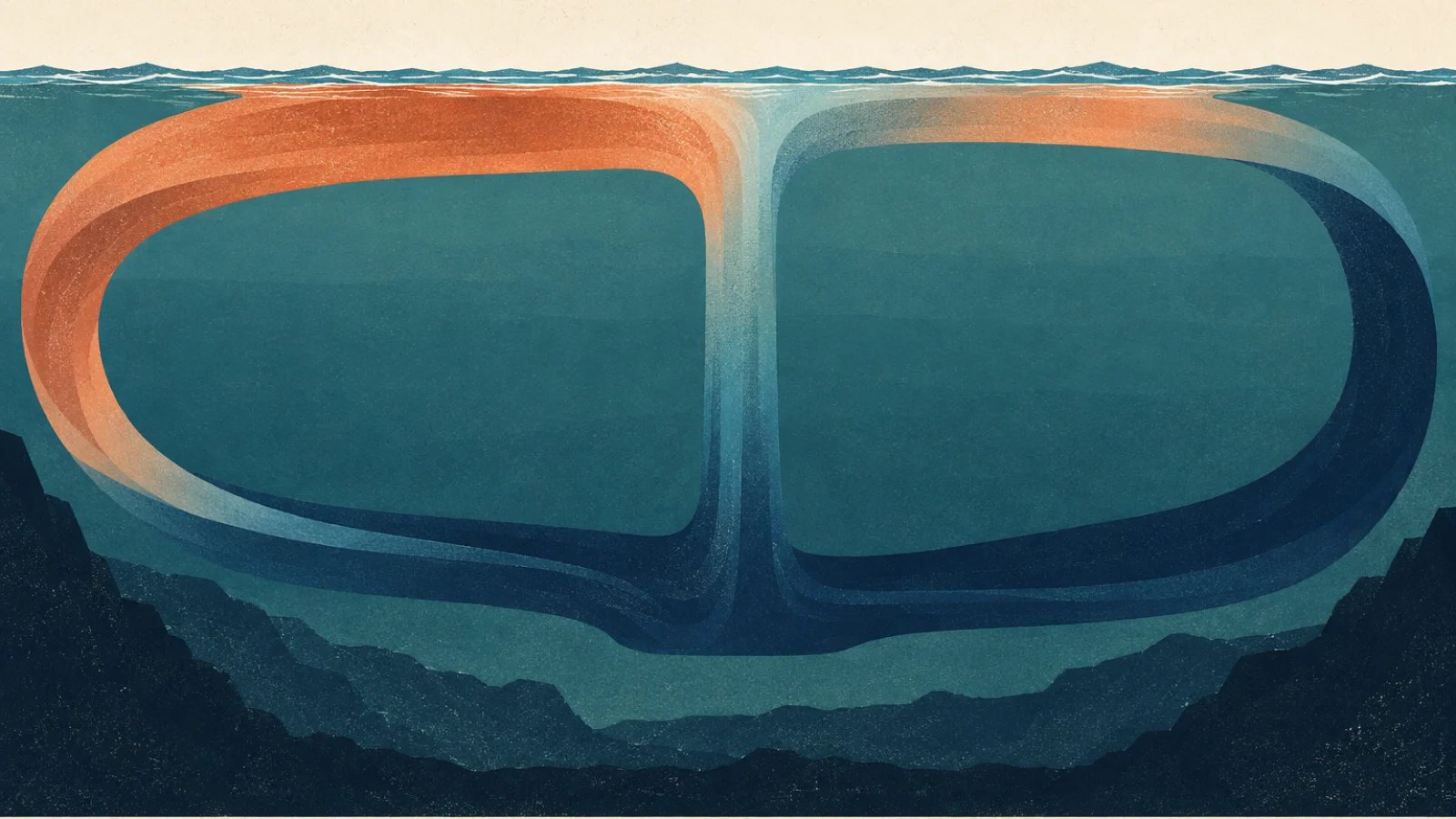 Ocean cross-section with warm surface flow, sinking water and a cool deep return flow