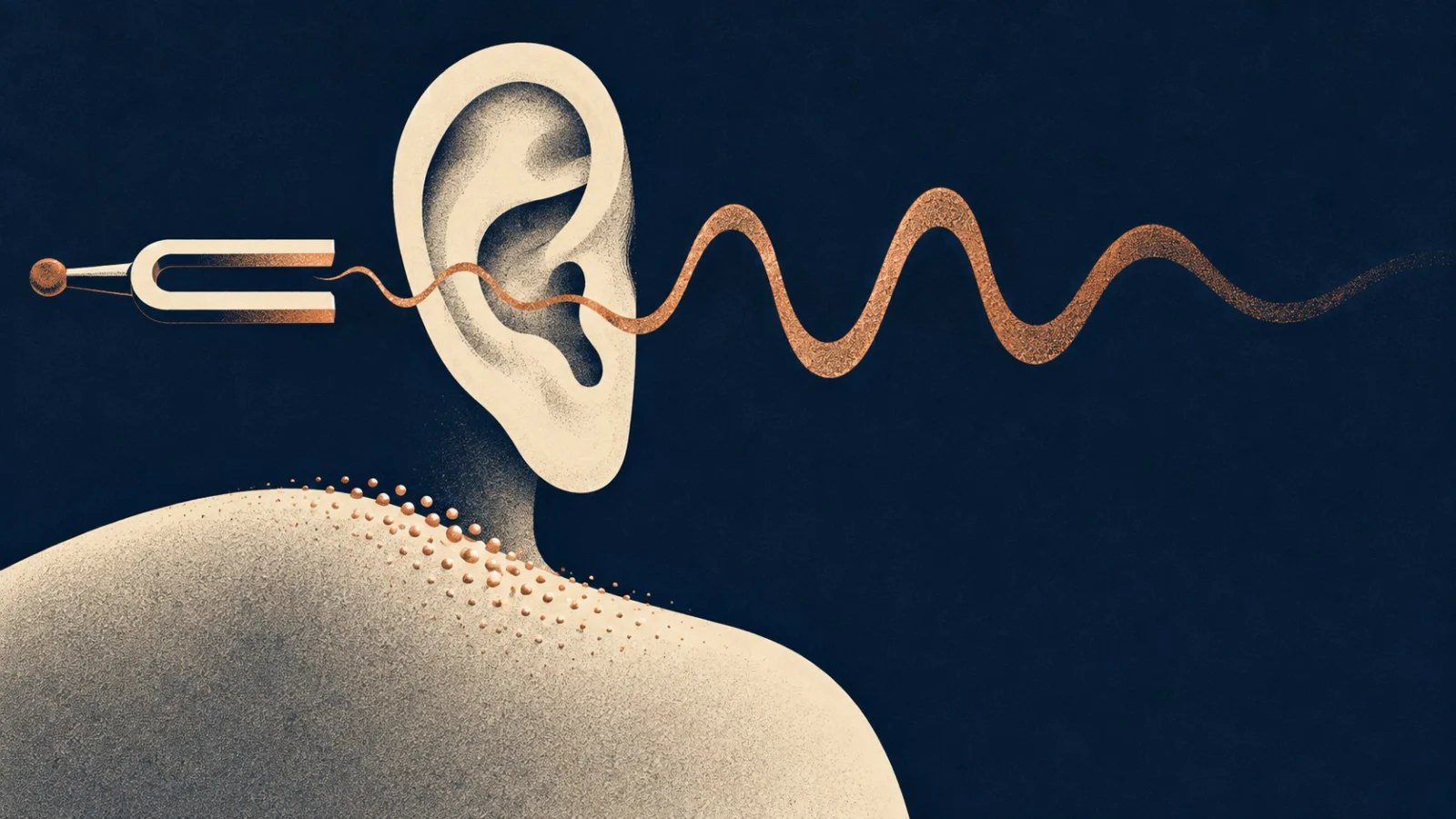 A stylised ear receiving a copper sound wave, with goosebumps along a shoulder against a navy background